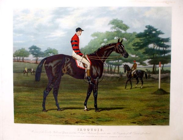 Fine Print of the Race Horse “Iroquois”