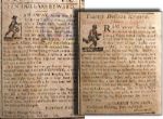 Scarcely Seen - Illustrated Runaway Slave Advertisements