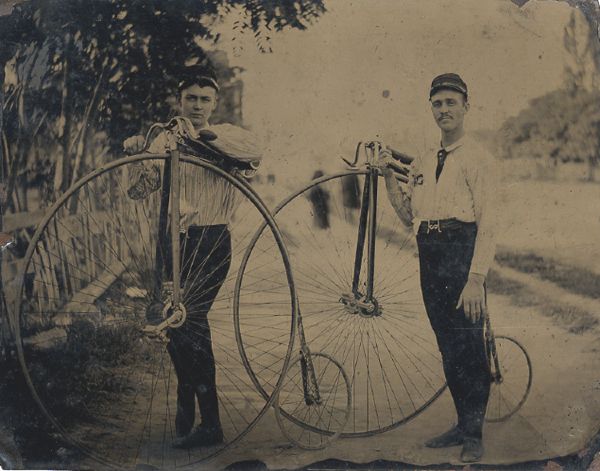 Exceptional High Wheeler Bicycle Tintype