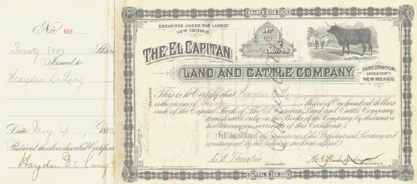 Early New Mexico Cattle Company Stock Certificate