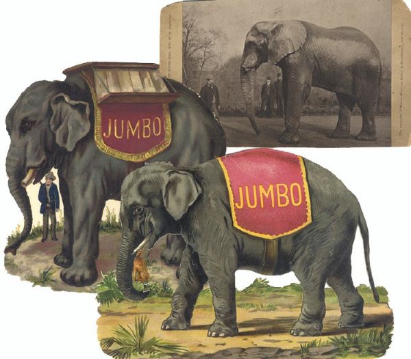 Three Period Items Pertaining to Jumbo, the Elephant