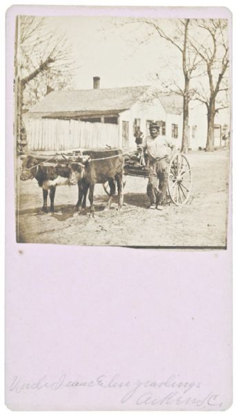 1875 UNCLE ISAAC & HIS YEARLINGS, AIKEN S.C.