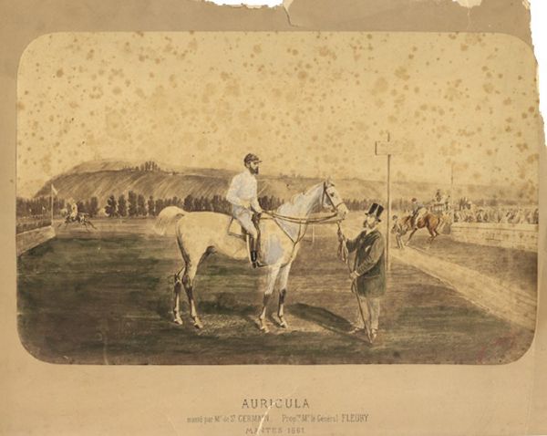 Albumen Print of Famed Racehorse