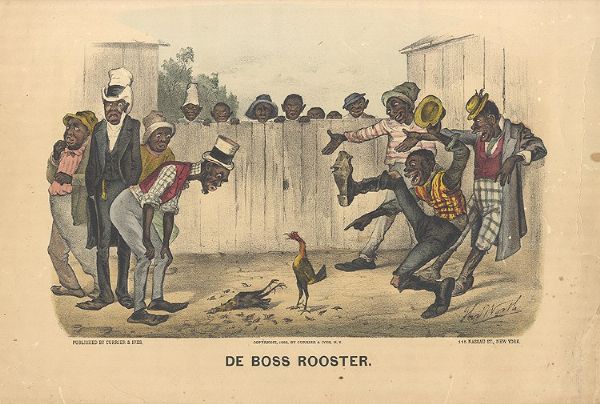 De Boss Rooster