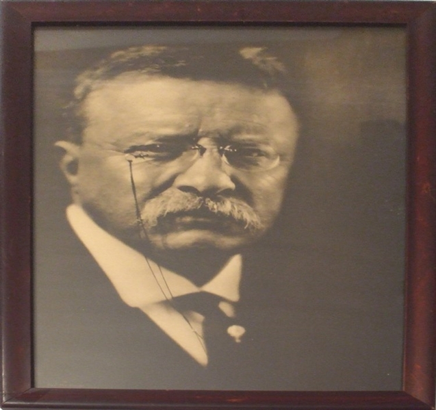 Striking Photograpf of Theodore Roosevelt