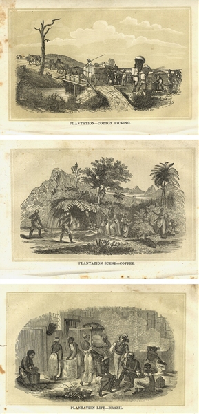 Slavery In Brazil 1850’s
