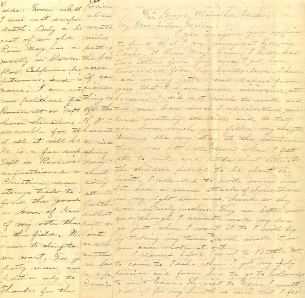 Pro-Woodrow Wilson Letter 