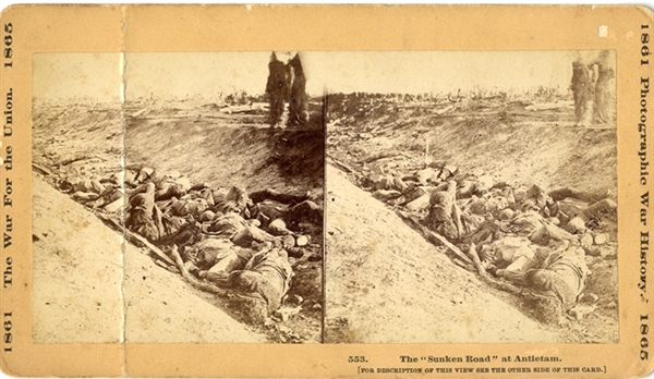 Antietam Confederate Dead