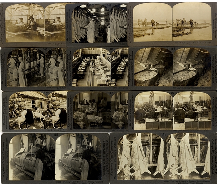 Group of eleven (11) Occupational Stereoviews